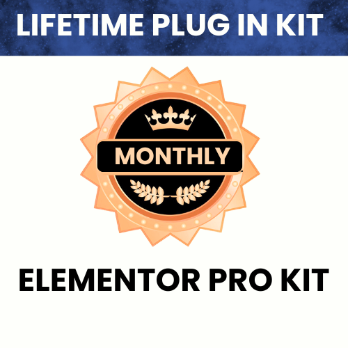 Pro Plug In (Lifetime)