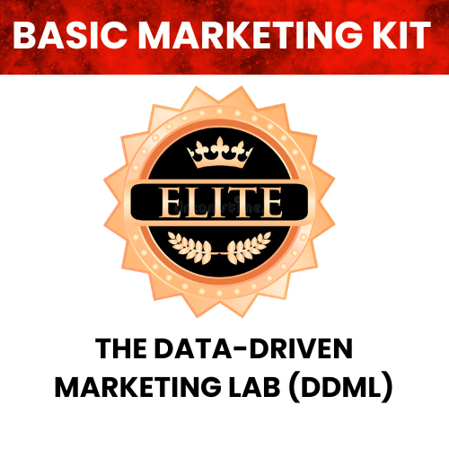 The Data-Driven Marketing Lab (DDML)